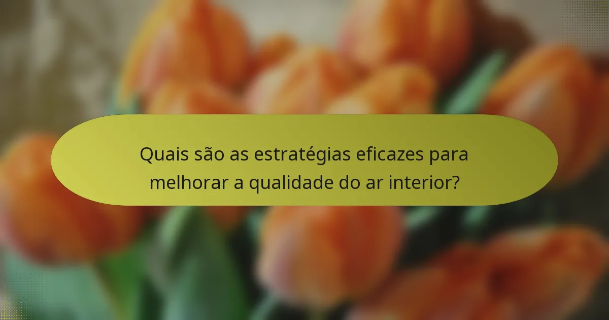 Quais são as estratégias eficazes para melhorar a qualidade do ar interior?